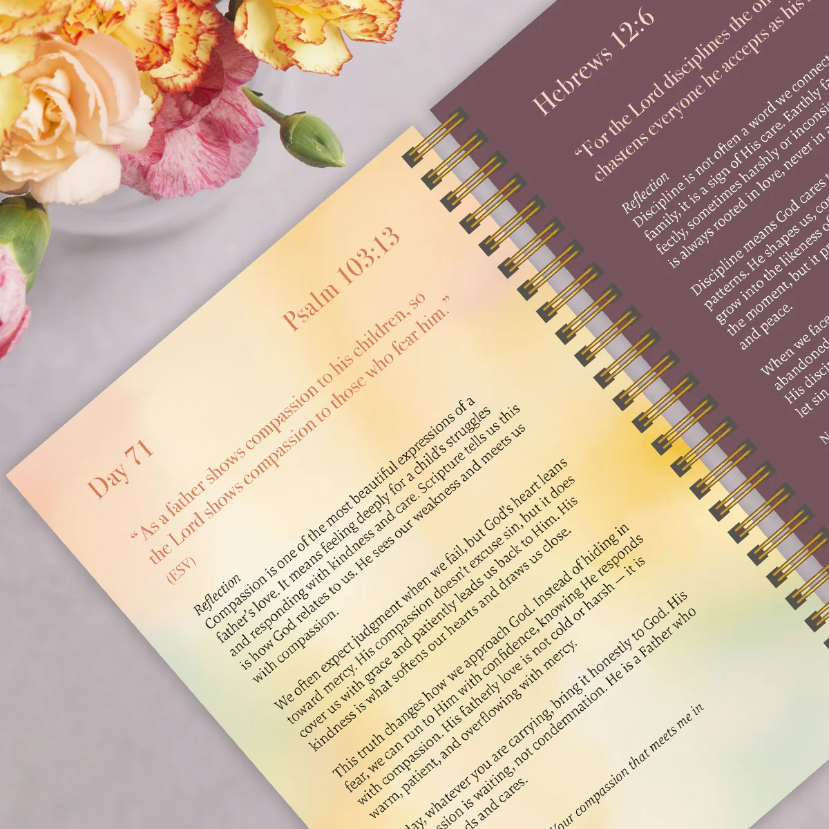 A Year In Devotion: 365 Days To Draw Near God - Image 7