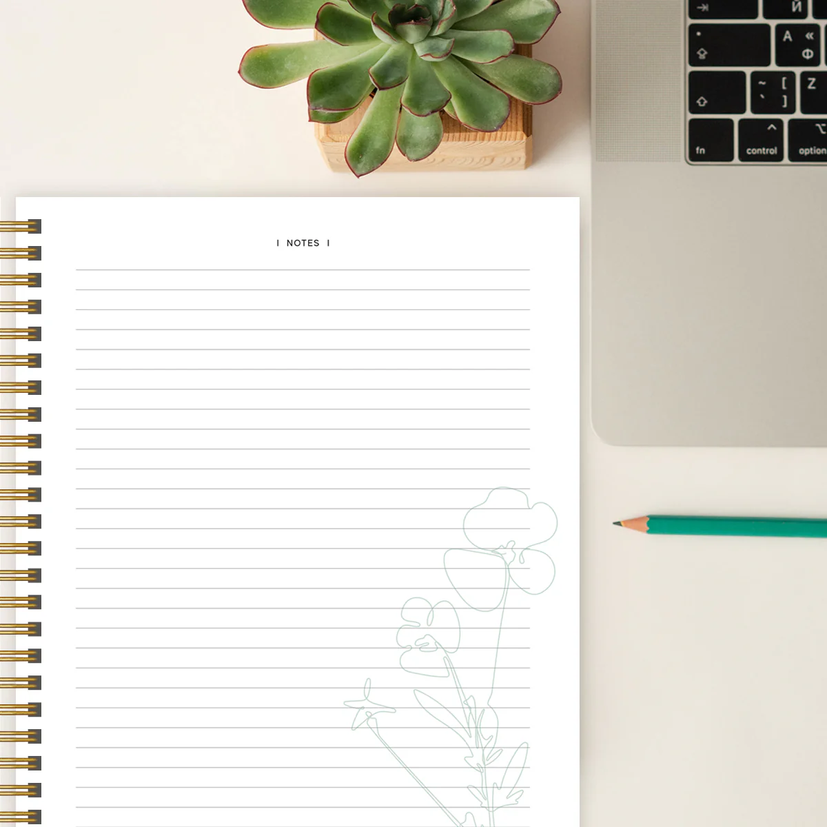 Bible In A Year Essentials (Hardcover) - Image 6