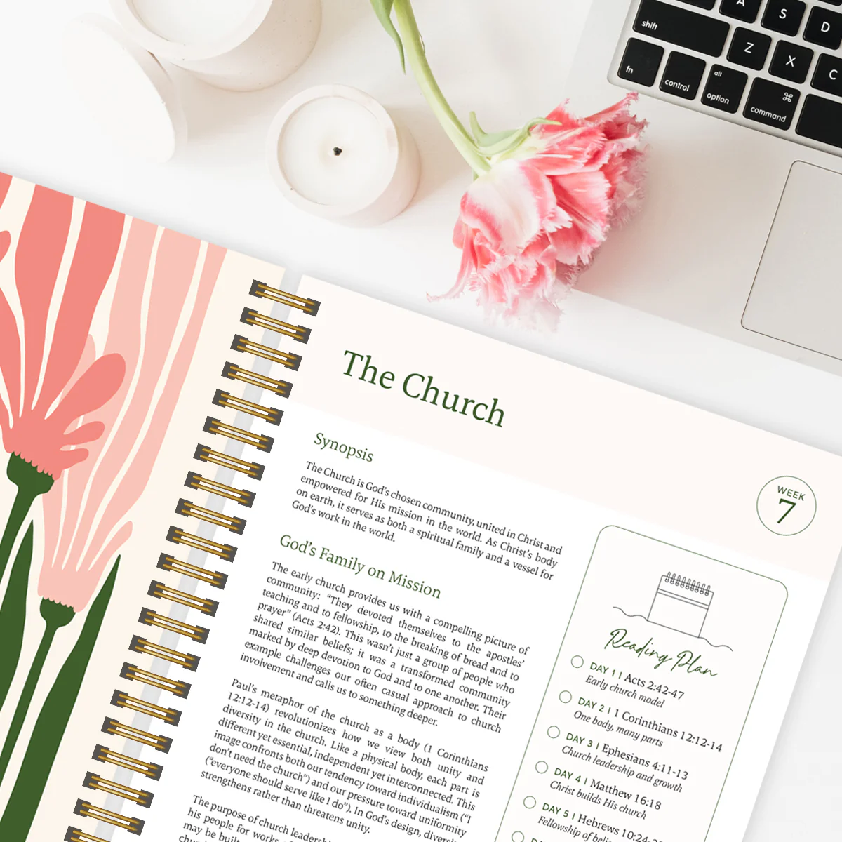 The Devoted Mom Bundle - Image 10