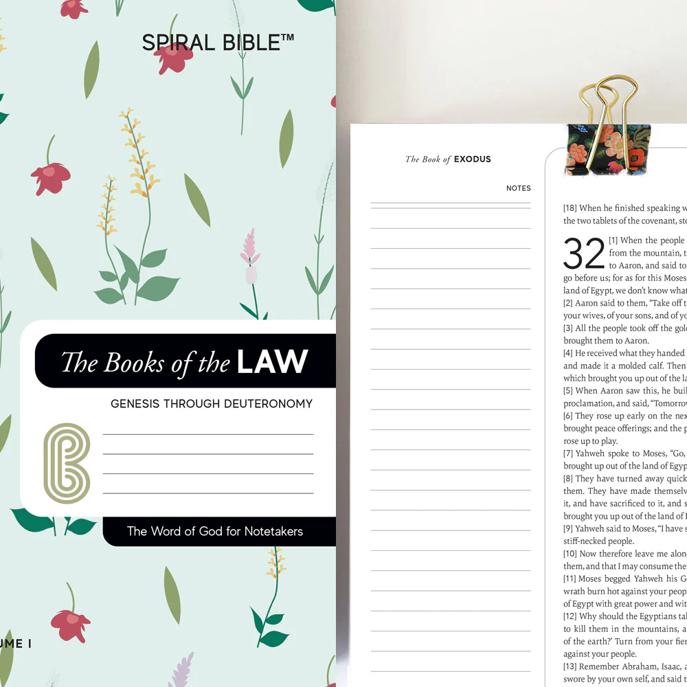 Spiral Bible™ - WEB - Old Testament  - Bundle - Image 10