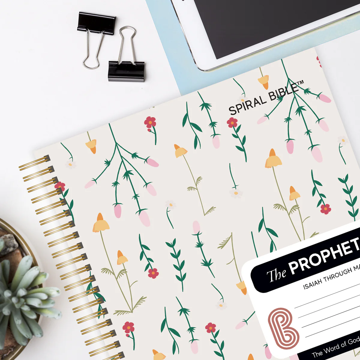 Spiral Bible™ - WEB - Old Testament  - Bundle - Image 7