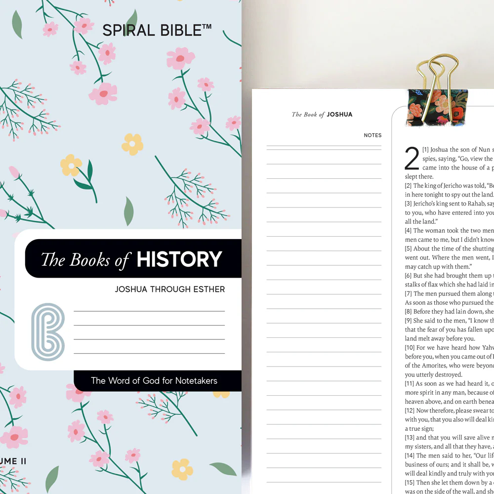 Spiral Bible™ - WEB - Old Testament  - Bundle - Image 8