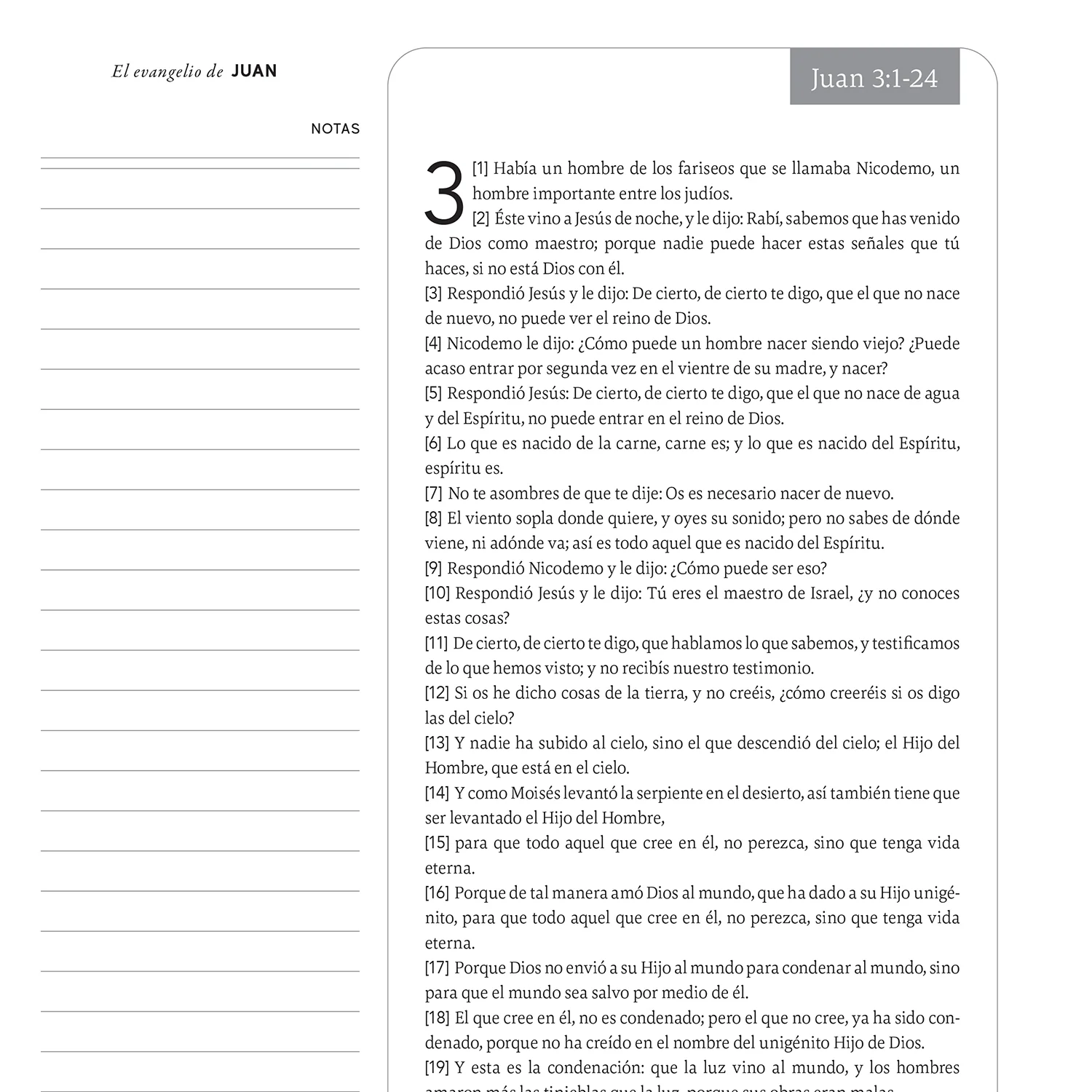 Spiral Bible™ - Reina-Valera (RVR) - New Testament - Image 5