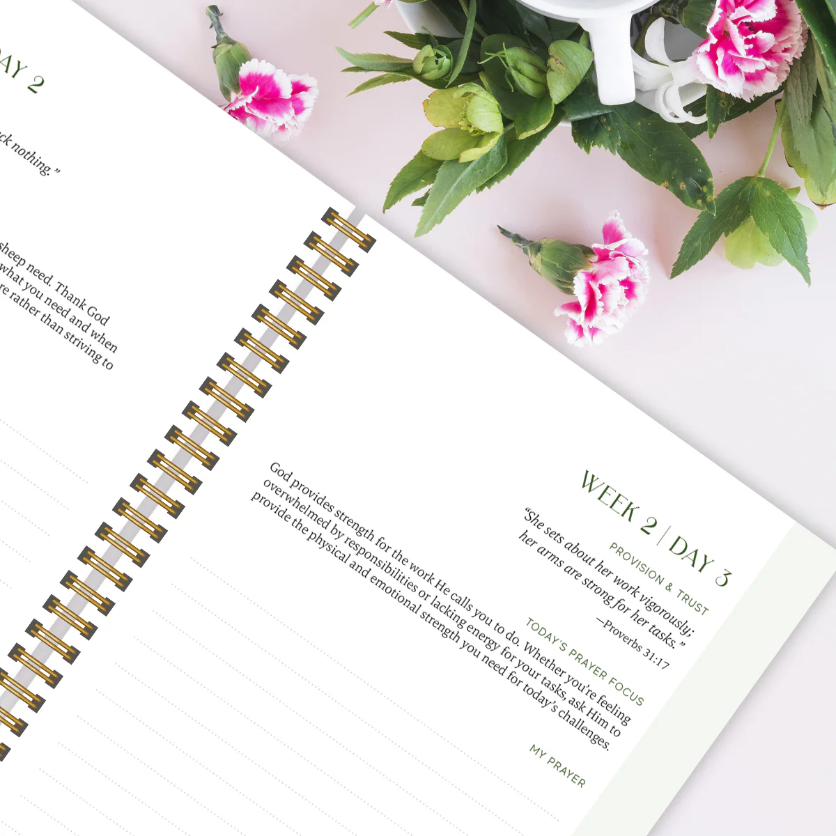 Spiral Bible™ Devotional Gift Set - Image 11